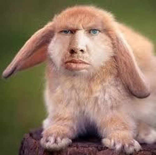 Мишган profile