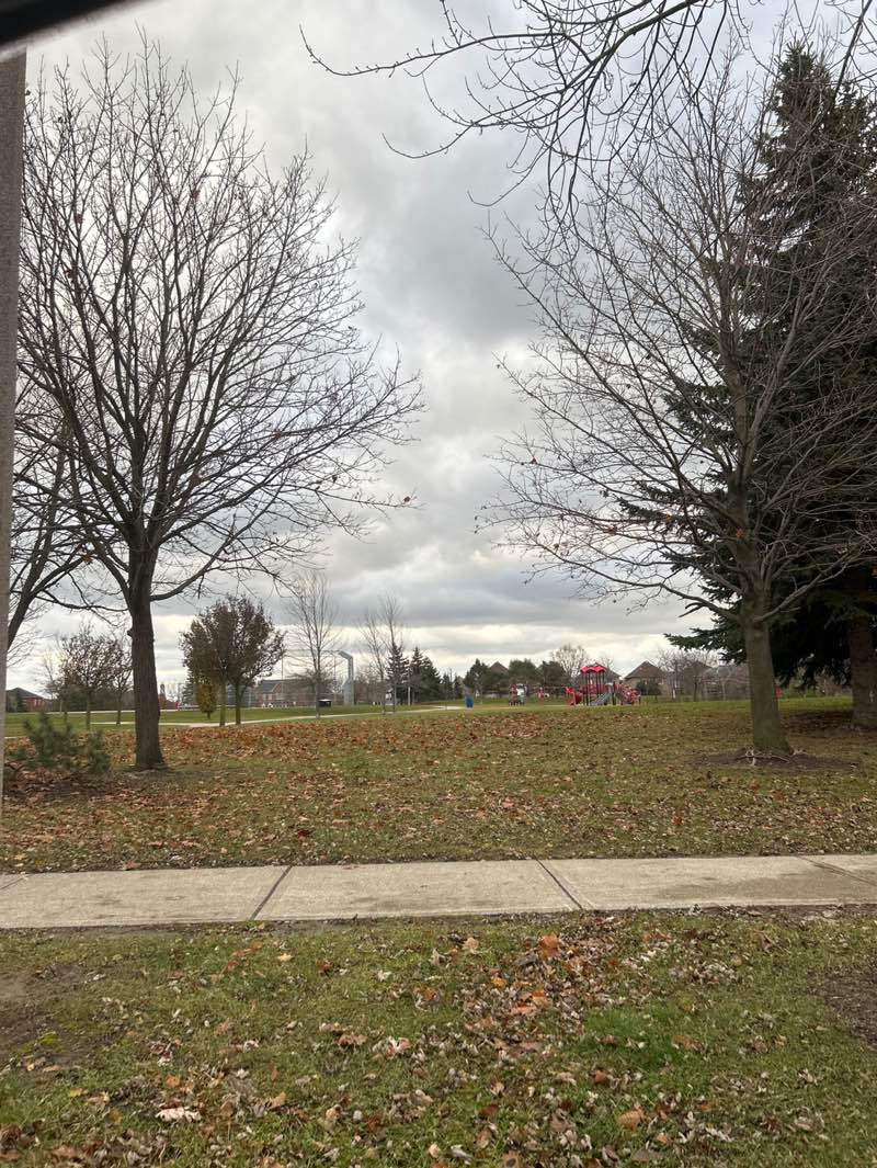 walking near me in West Maple Creek Park in autumn