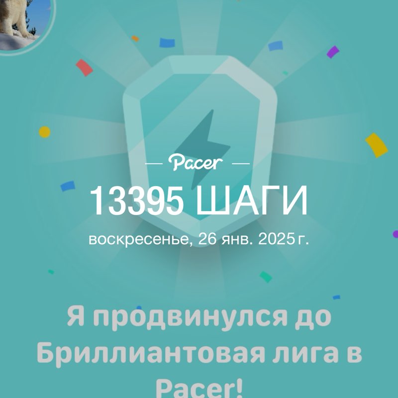 🐶Aleksandr post 1