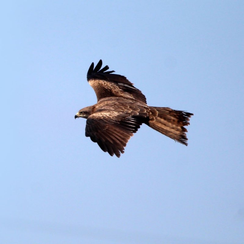 🐶Aleksandr post 1