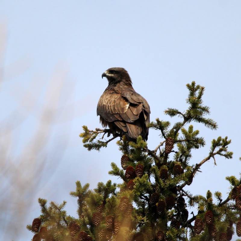 🐶Aleksandr post 3