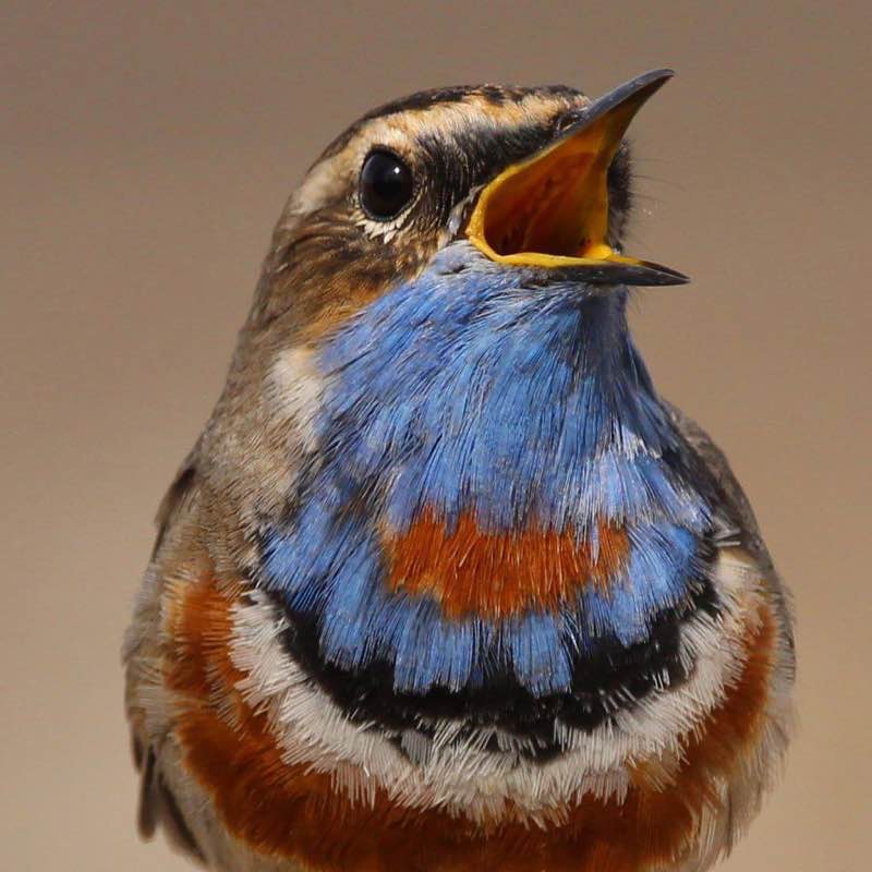 🐶Aleksandr post 3