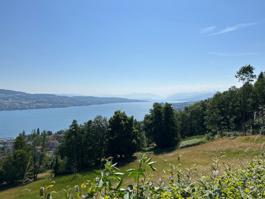 walking near me in Seeanlage Farb in winter