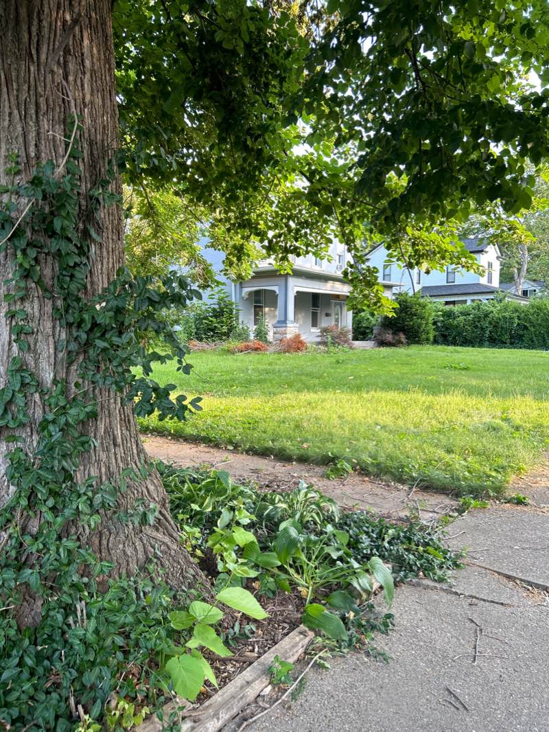 walking near me in Lorenzo Bull Park in winter