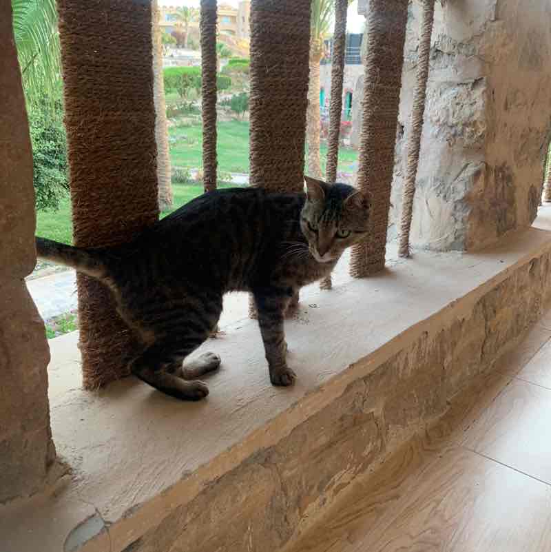 unmondemontagnes post 1