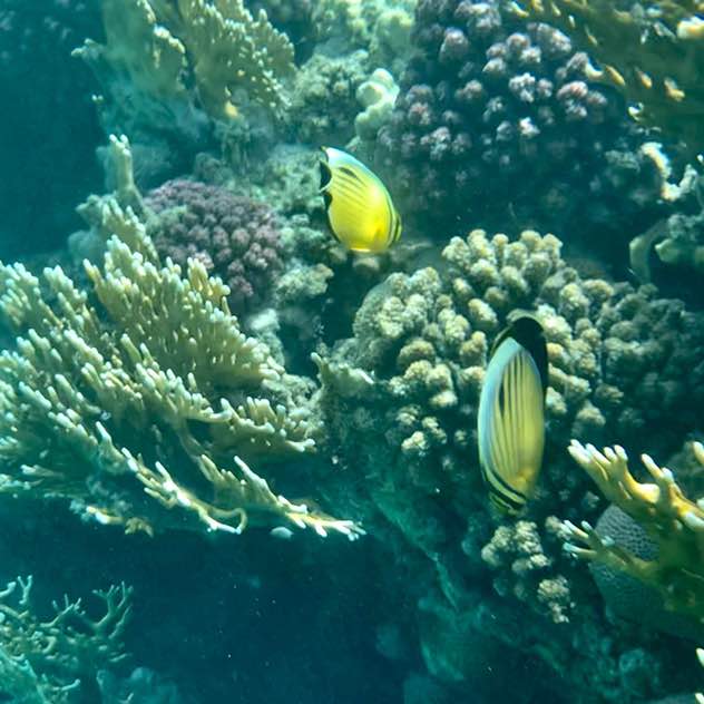 unmondemontagnes post 3