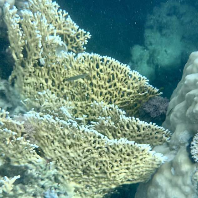 unmondemontagnes post 2