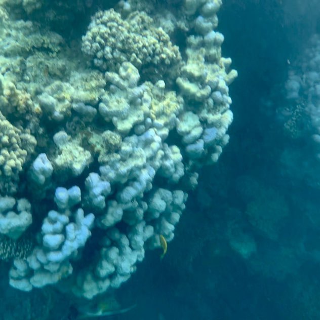 unmondemontagnes post 1