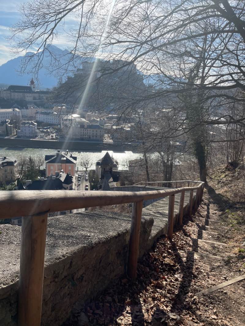 walking near me in Lehener Park in winter