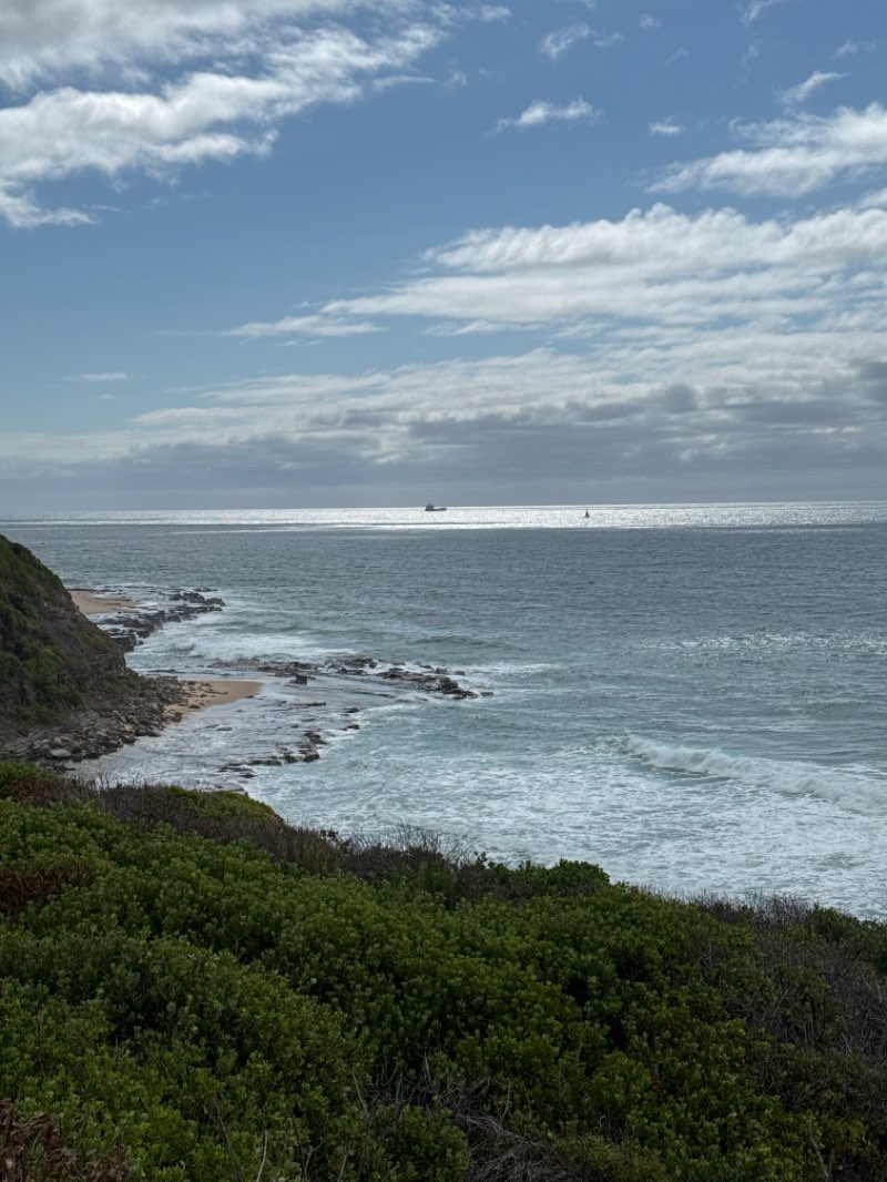 walking near me in Dixon Park in summer