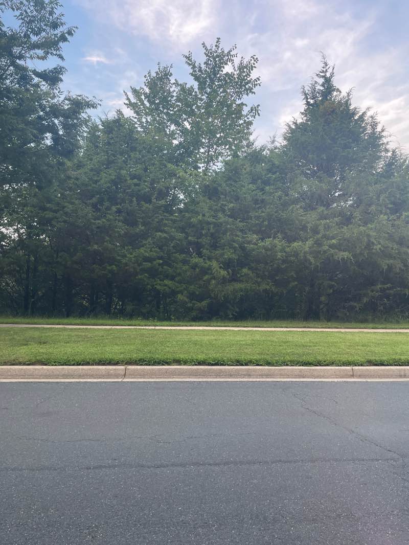 walking near me in Traville Local Park in autumn