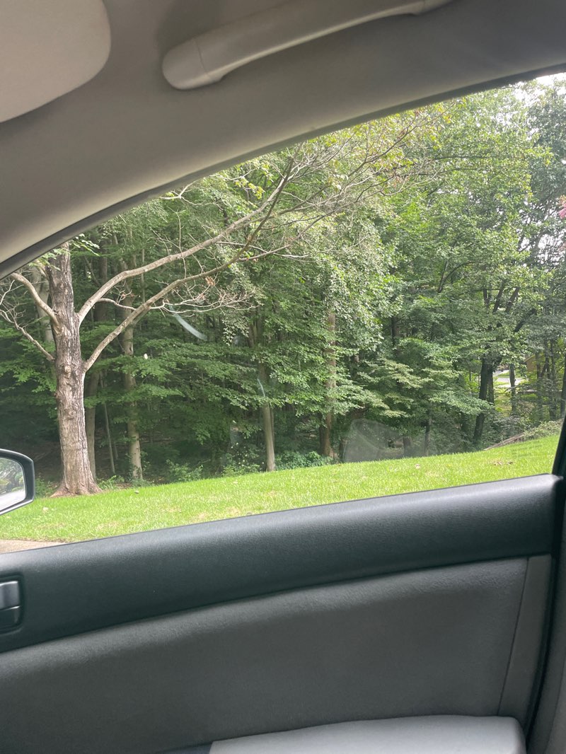 walking near me in Merrimac Neighborhood Park in autumn