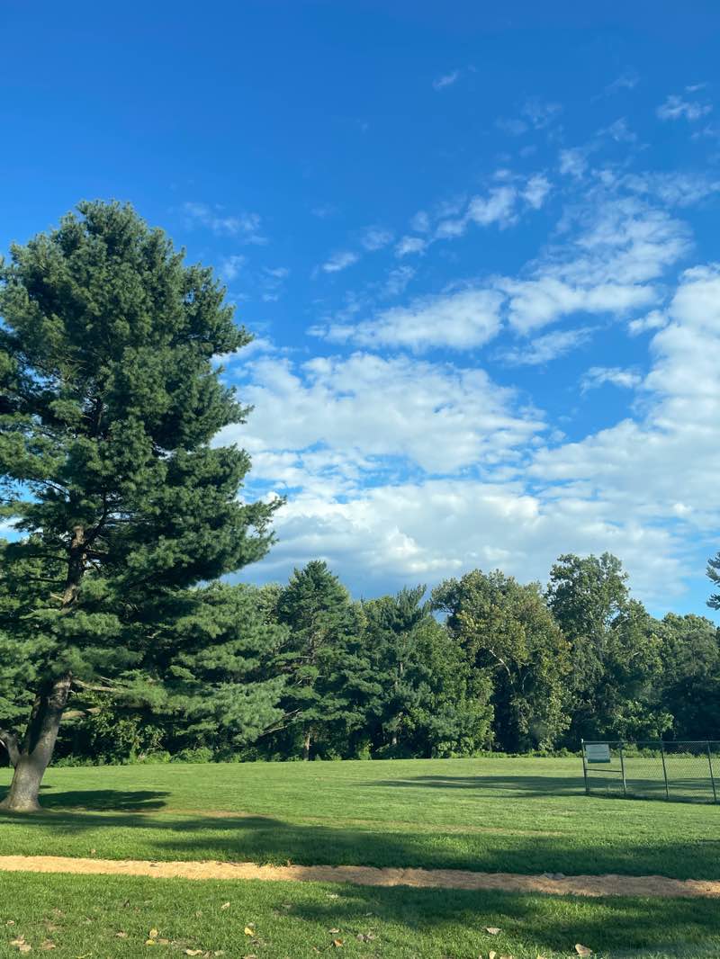 walking near me in Fleming Local Park in autumn