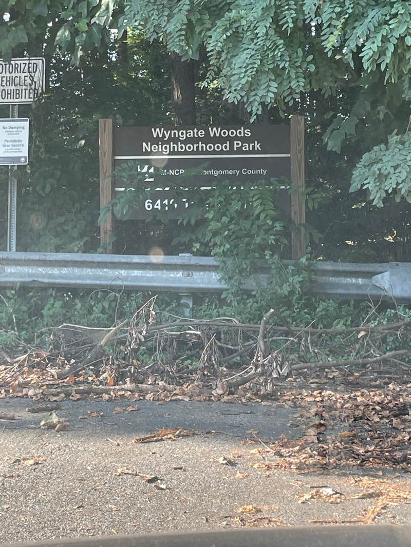 walking near me in Wyngate Woods Neighborhood Park in autumn