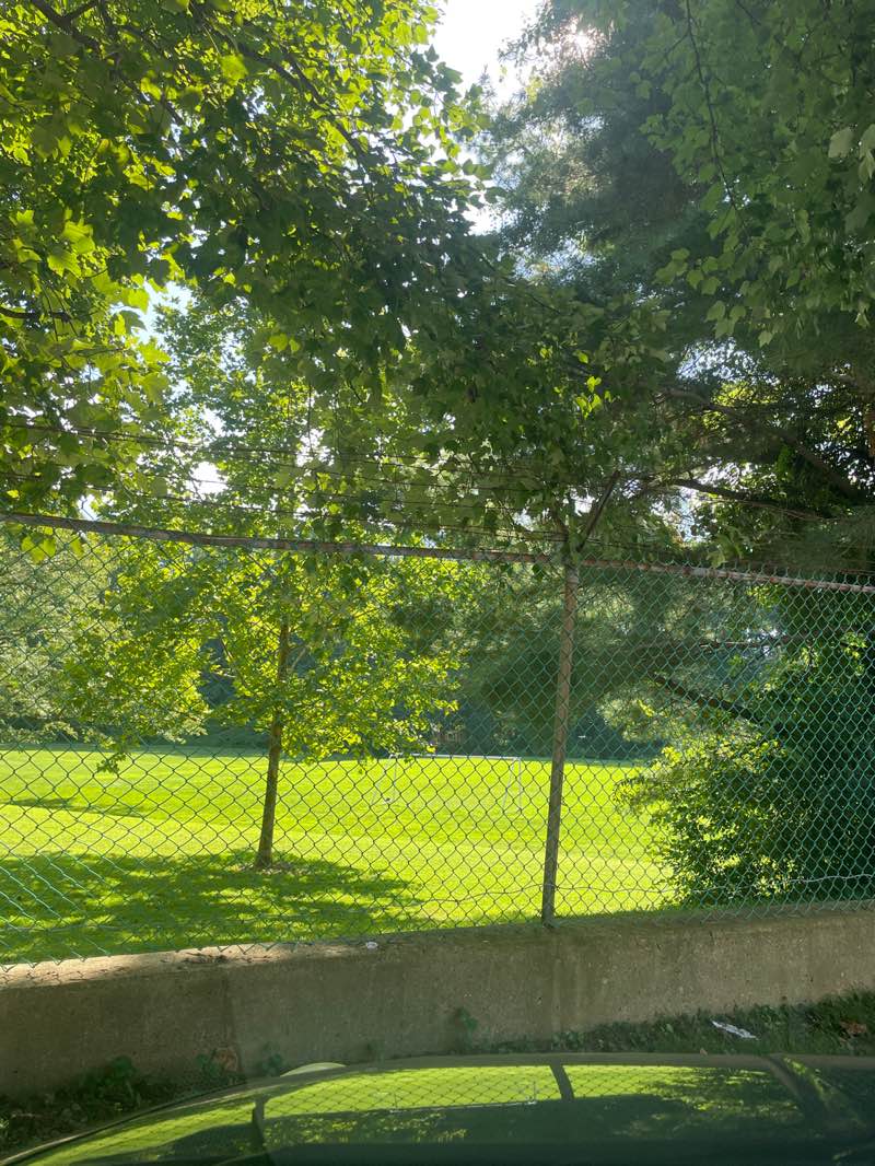walking near me in Stratton Local Park in autumn
