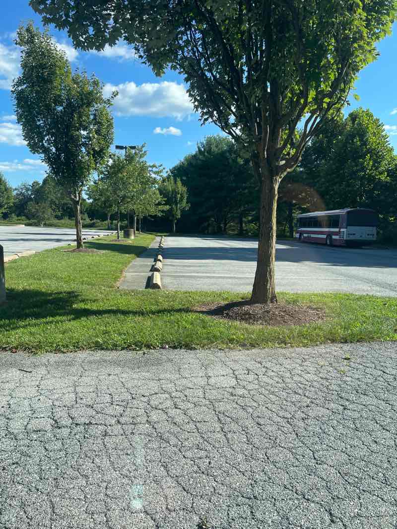 walking near me in Germantown East Local Park in autumn