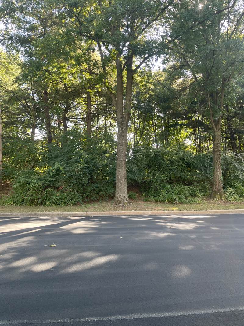 walking near me in North Farm Park in autumn