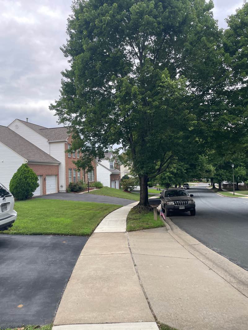 walking near me in Seneca Crossing Local Park in autumn