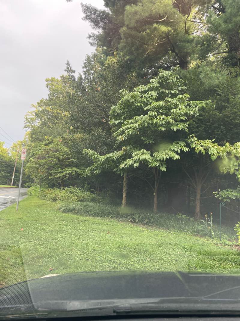 walking near me in McCrillis Gardens Special Park in autumn