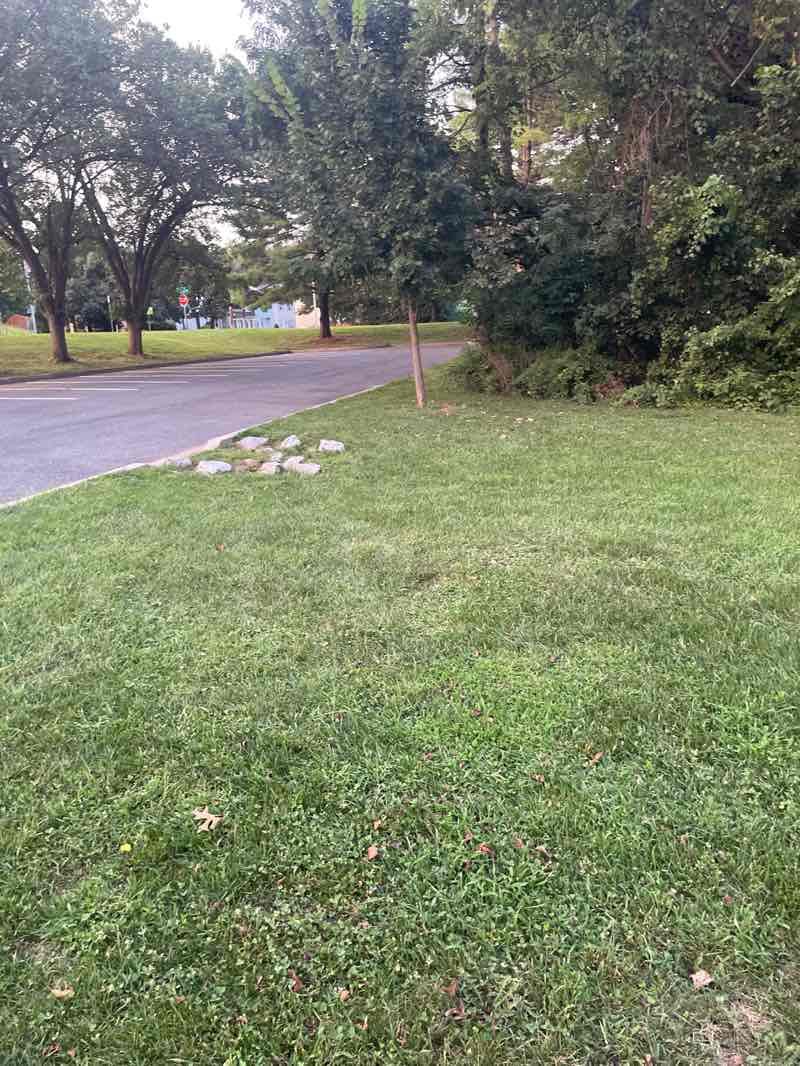 walking near me in Waring Station Local Park in autumn