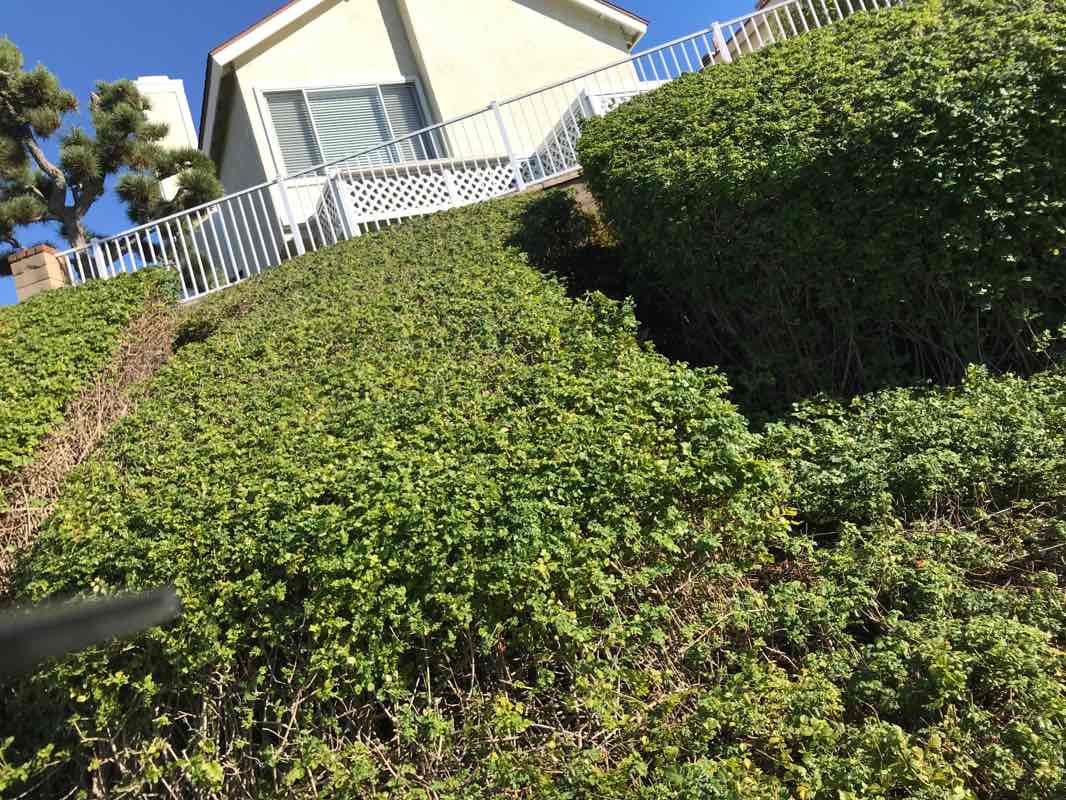 walking near me in Tamarisk Park in winter