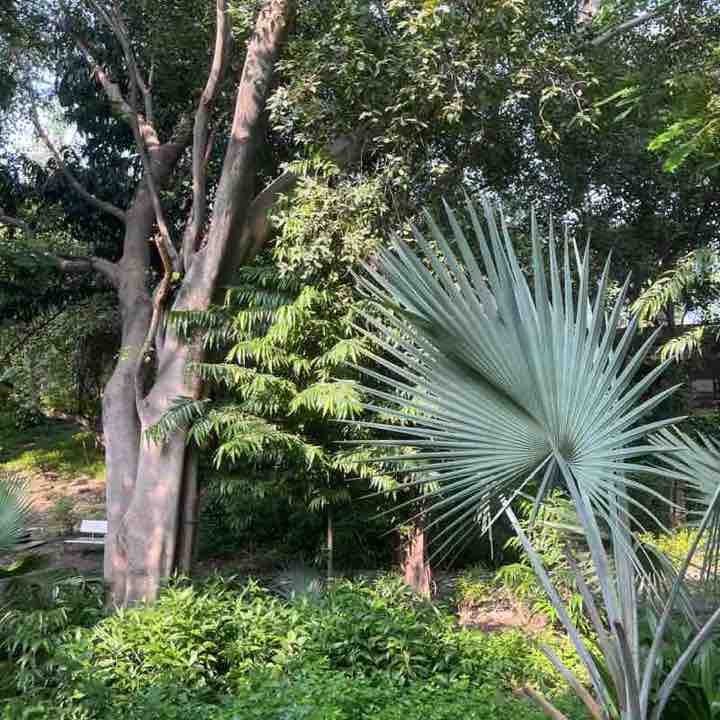 Rashmi post 2