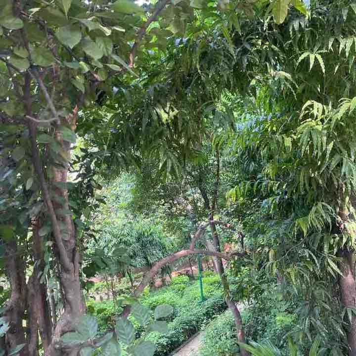 Rashmi post 2