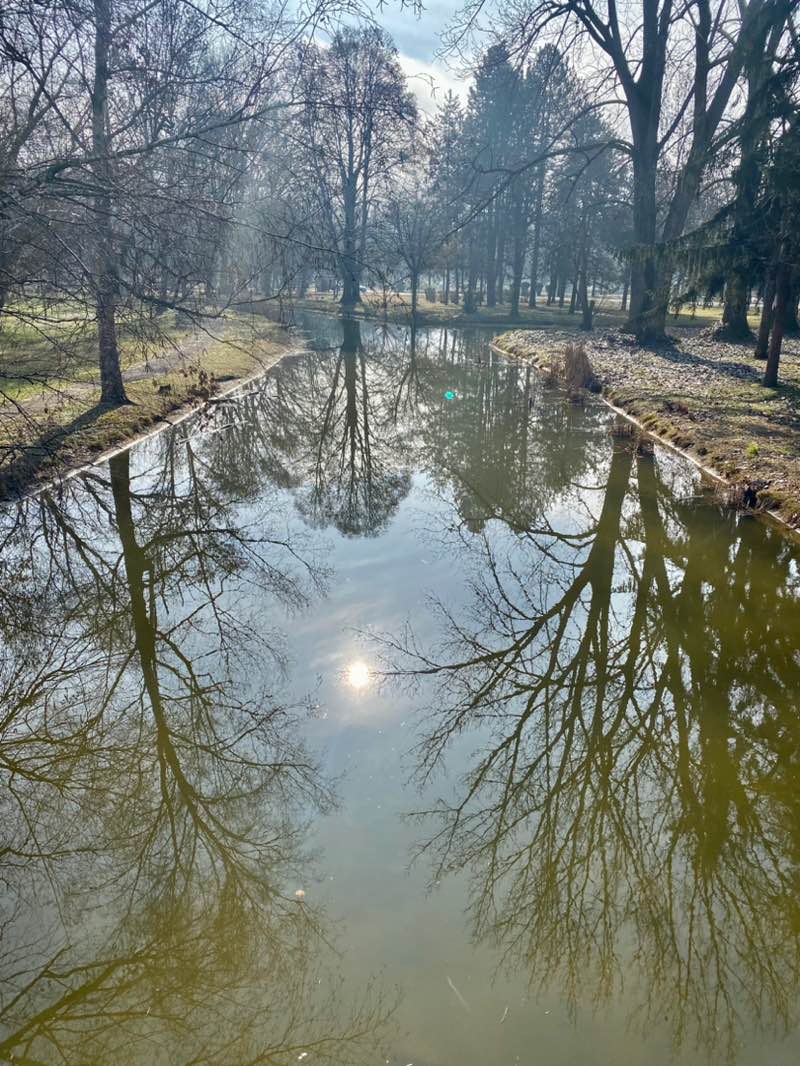 walking near me in City Park in winter