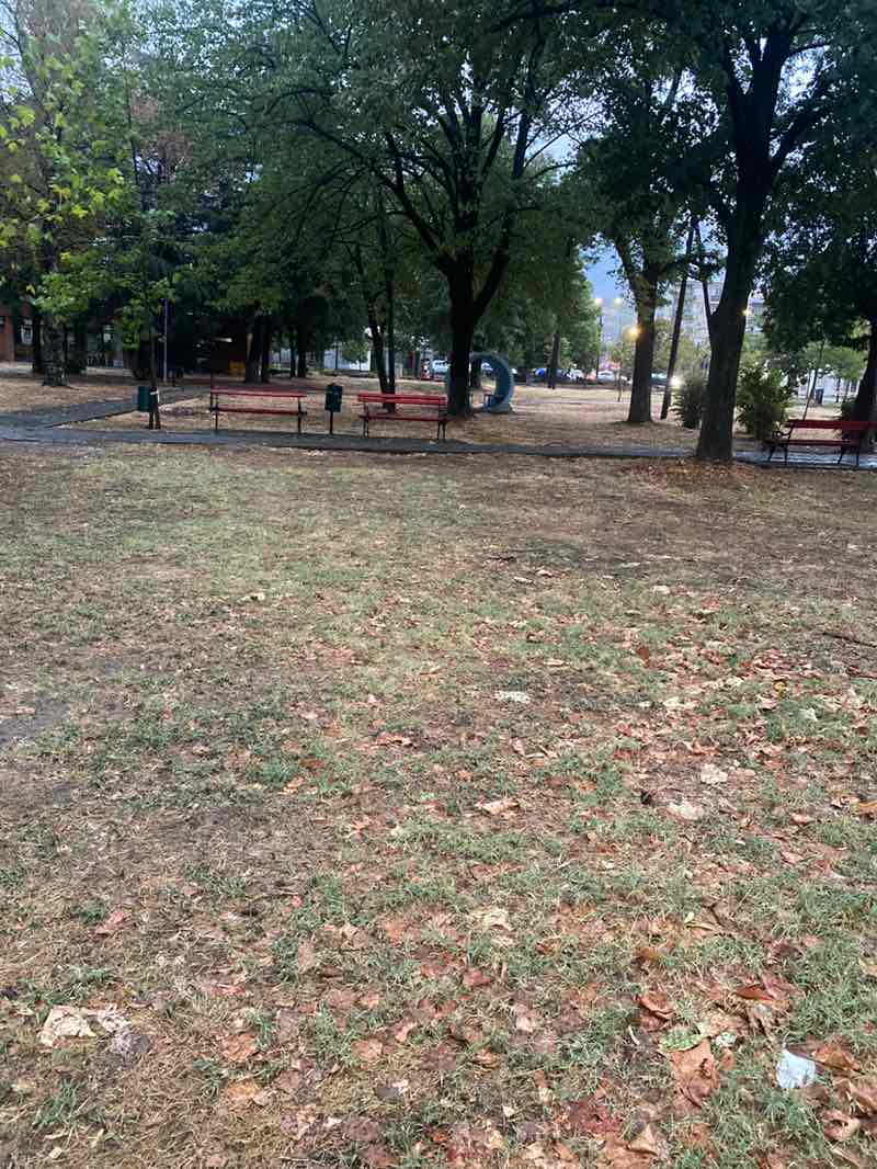 walking near me in Парк Ѓорче Петров in autumn