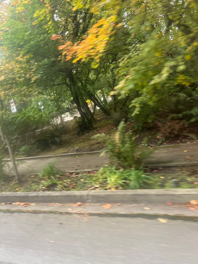 walking near me in Bellevue Open Space in autumn