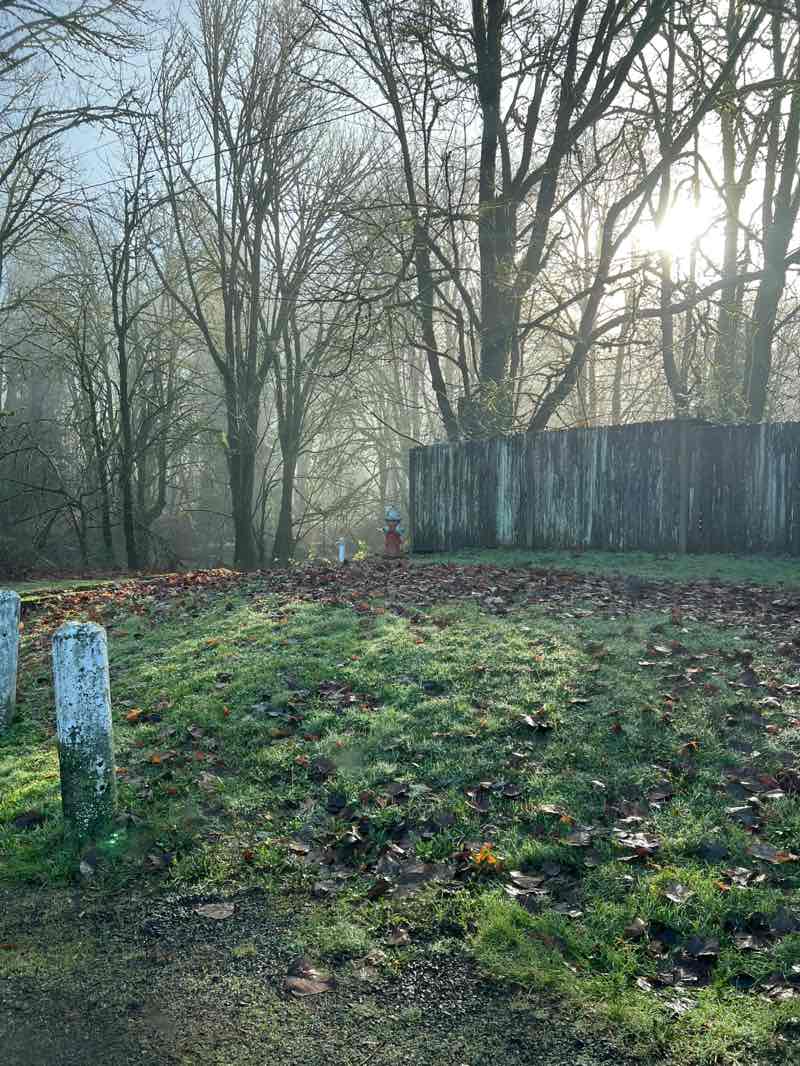 walking near me in Al Borlin Park in winter