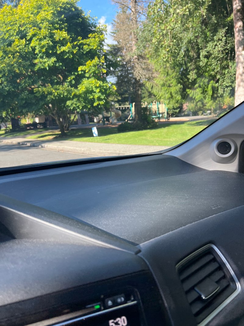 walking near me in Pine Meadow Park in autumn