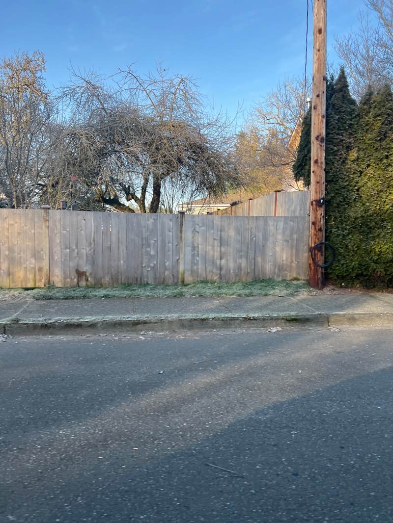 walking near me in Stipek Park in winter