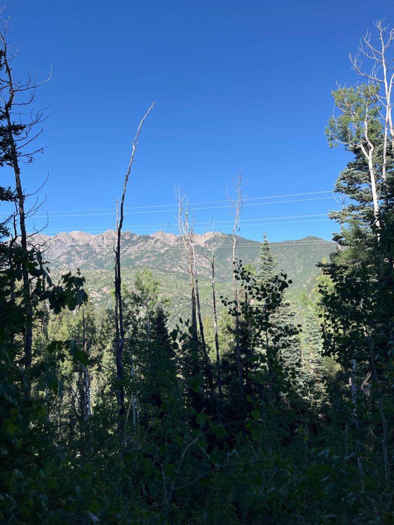 walking near me in Weminuche Wilderness in winter