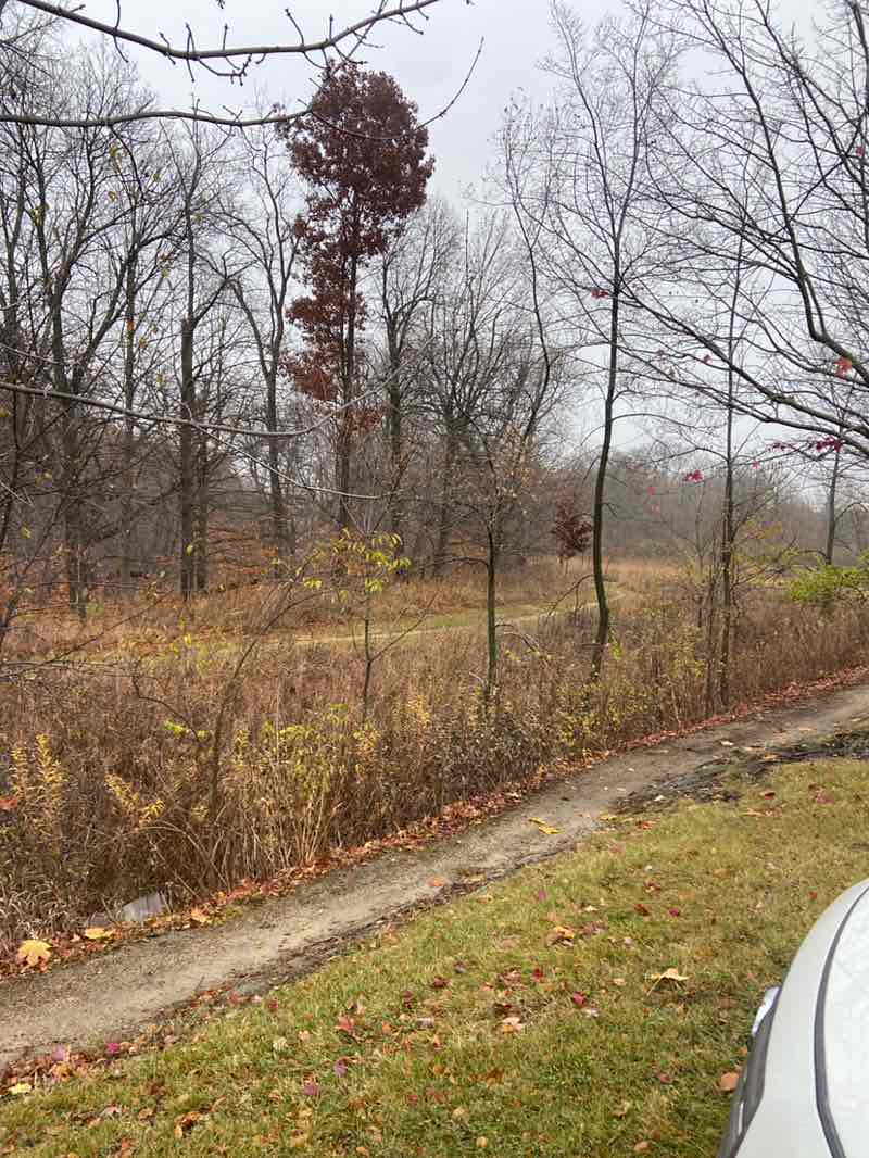 walking near me in Sleepy Hollow Ravine Forest Preserve in autumn