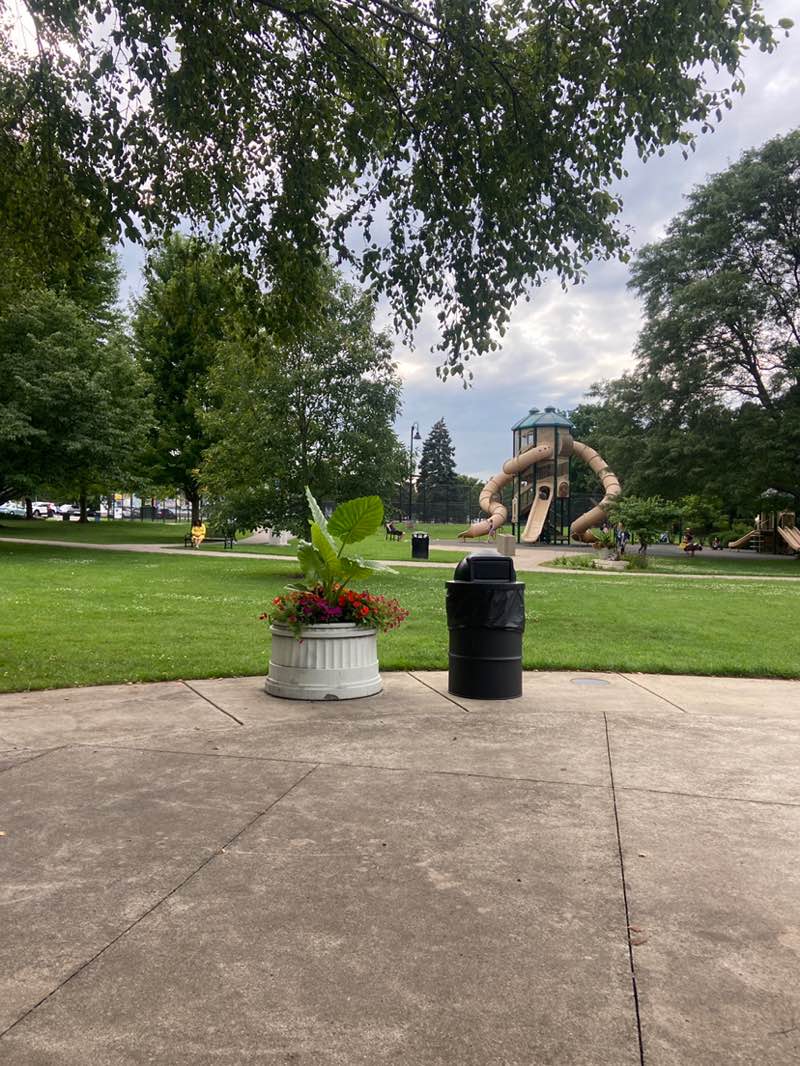 walking near me in Mount Saint Mary Park in autumn