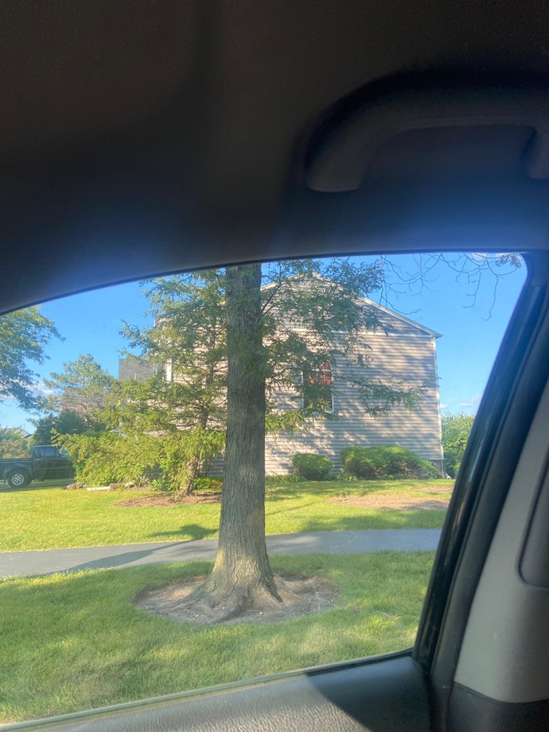 walking near me in College Green Park in autumn