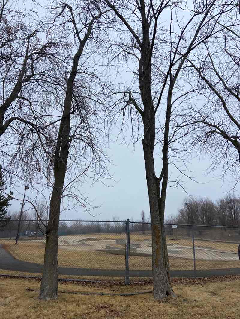 walking near me in Knox Park in spring