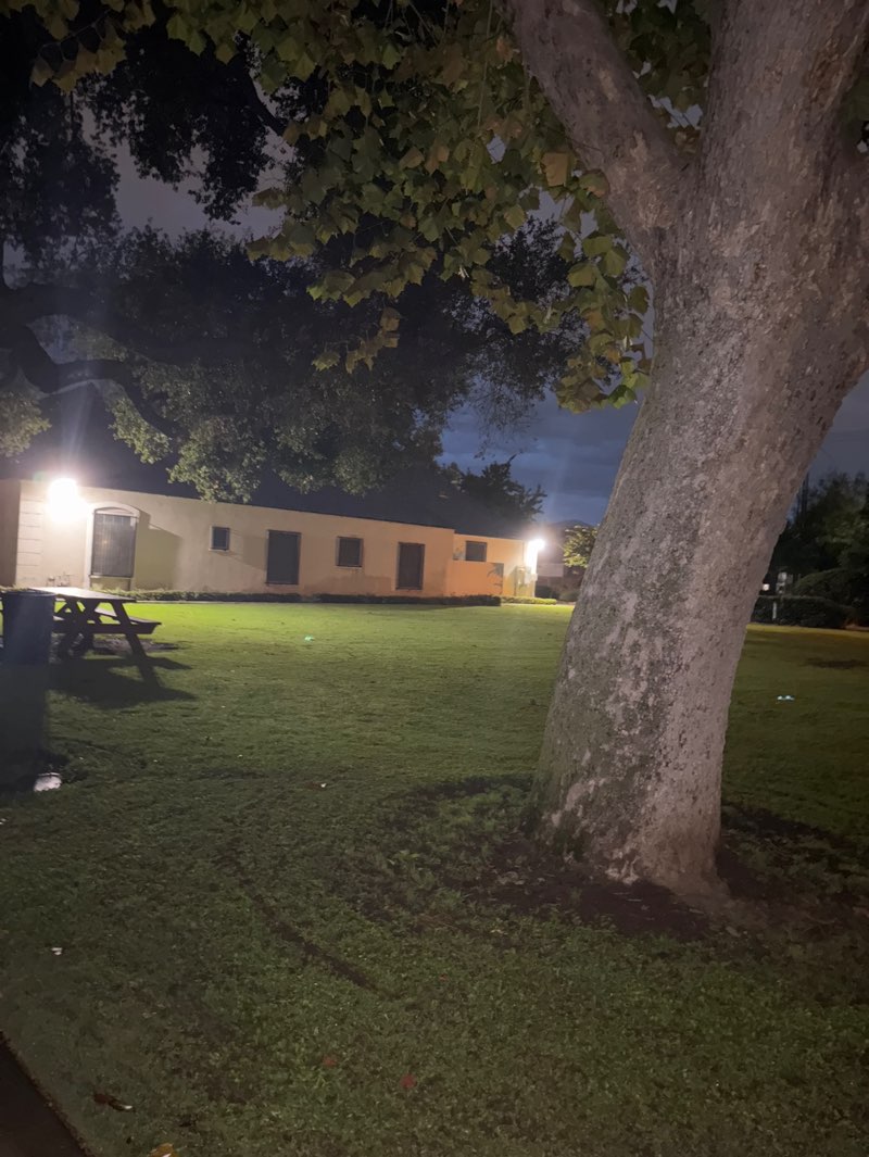 walking near me in Burke Park in autumn