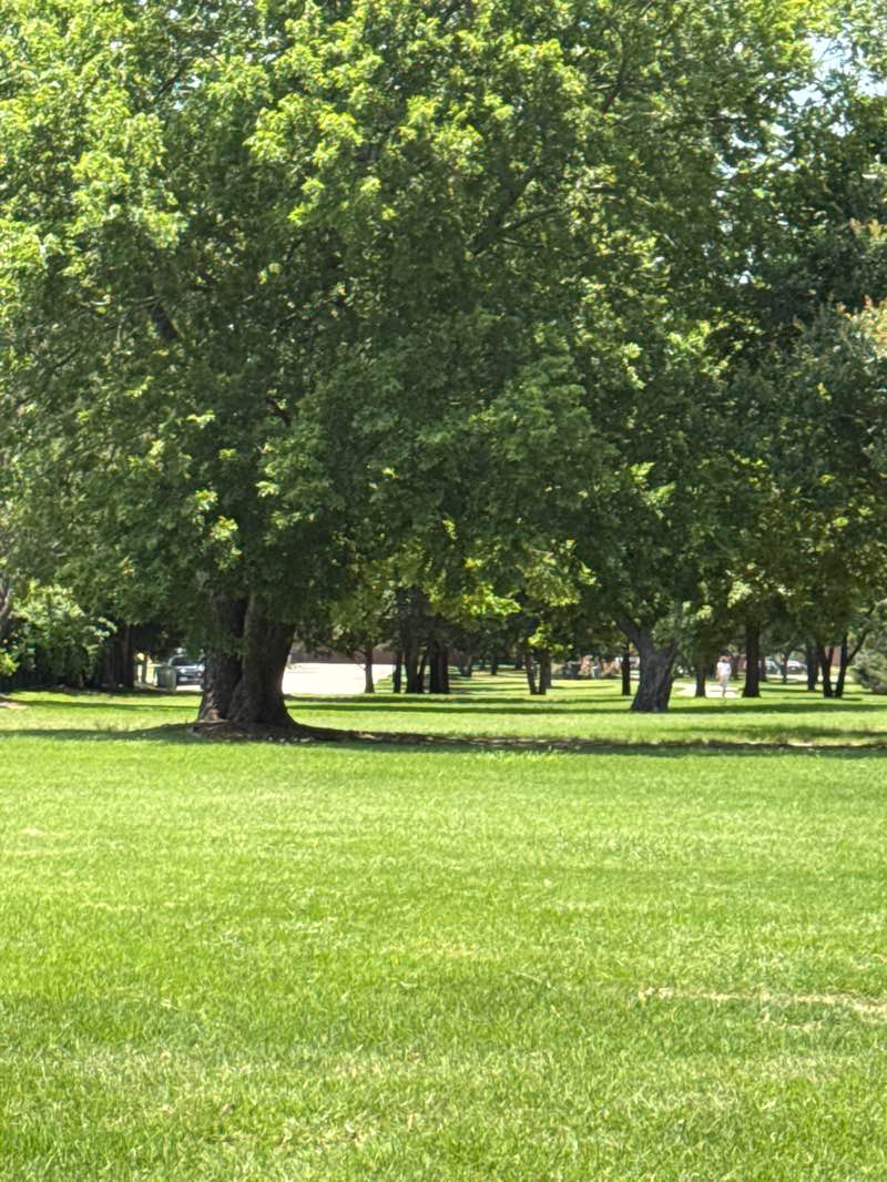 walking near me in Lakewood Park in summer