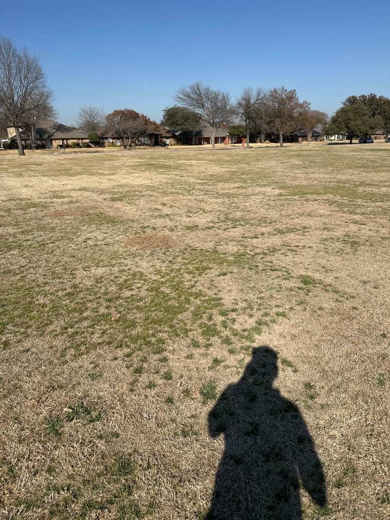 walking near me in Horseshoe Park in winter