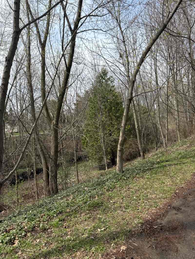 walking near me in White Oaks Park in spring