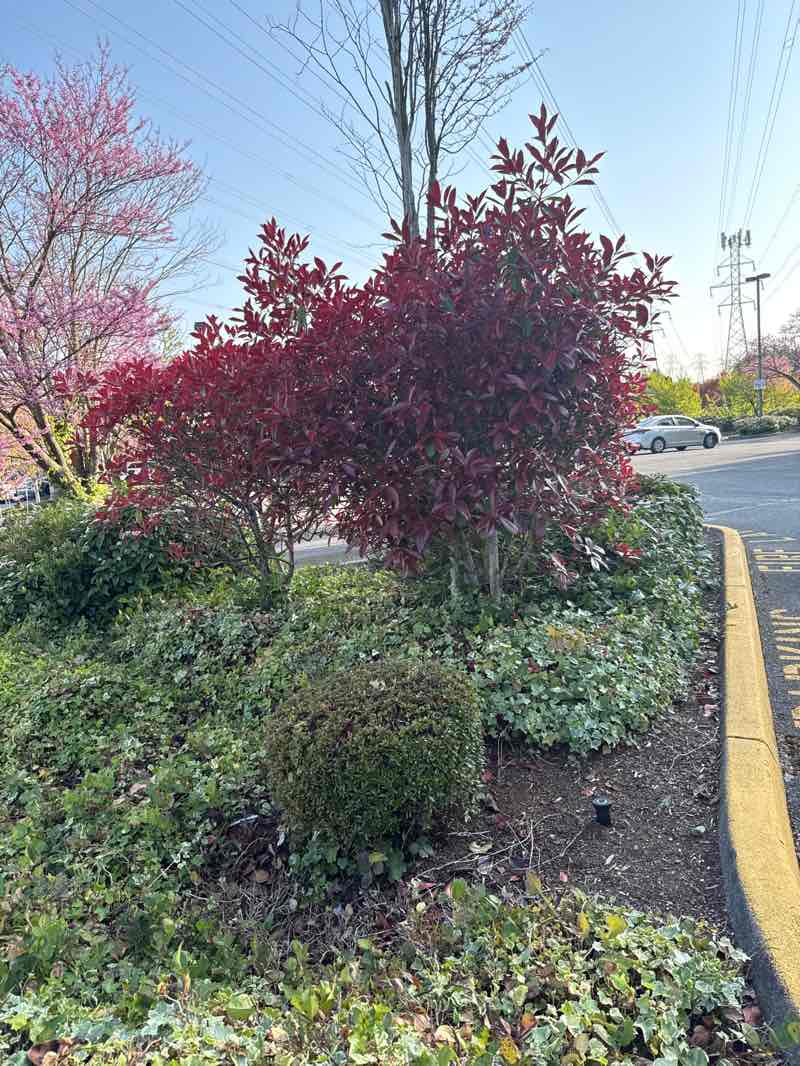 walking near me in Silver Creek Park in spring
