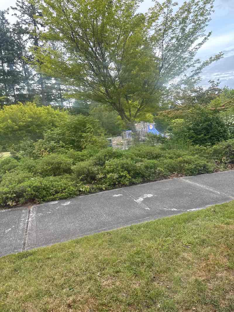 walking near me in Garry Oaks Park in spring