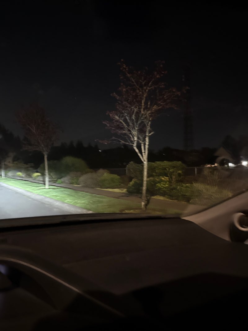 walking near me in Shaunessy Park in autumn