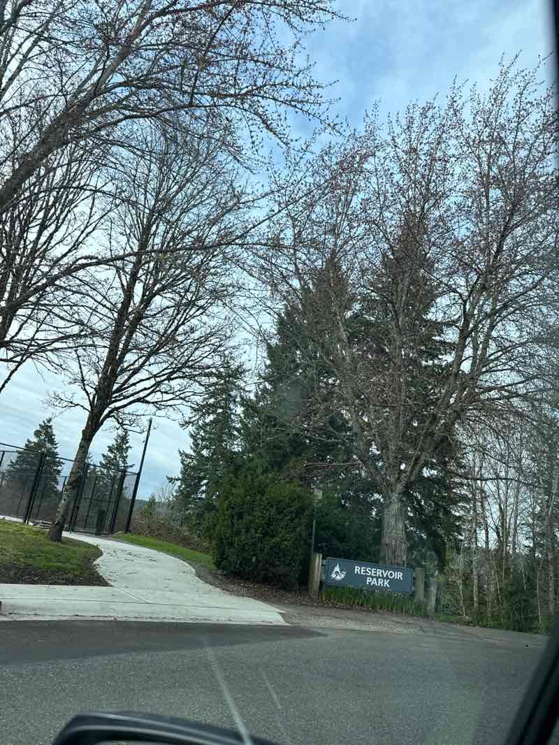 walking near me in Reservoir Park in spring