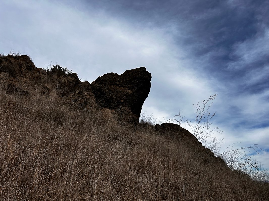 walking near me in Wildflower Playfield in winter