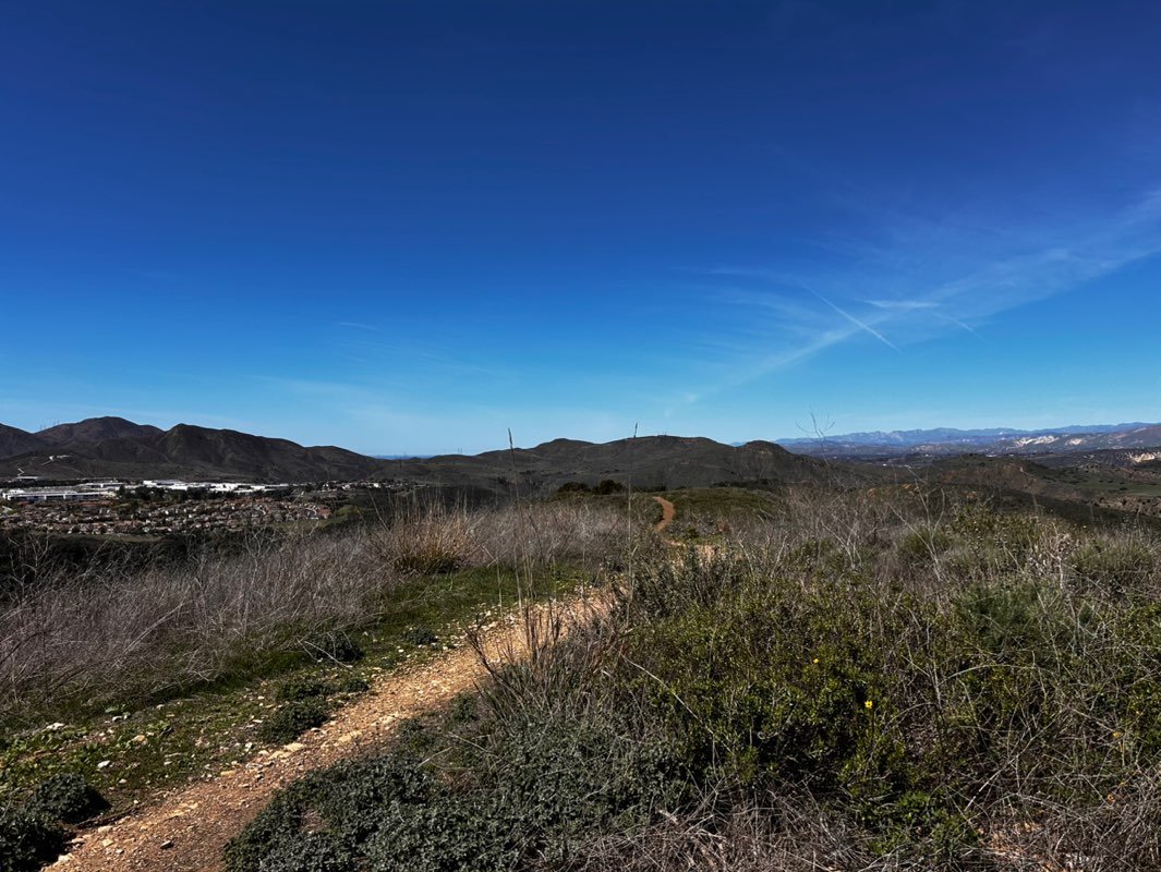walking near me in Lynnmere Open Space in spring