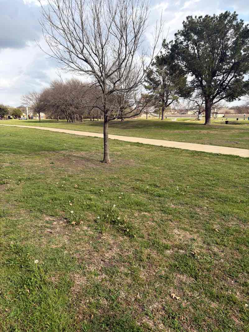 walking near me in Bradford Park in spring