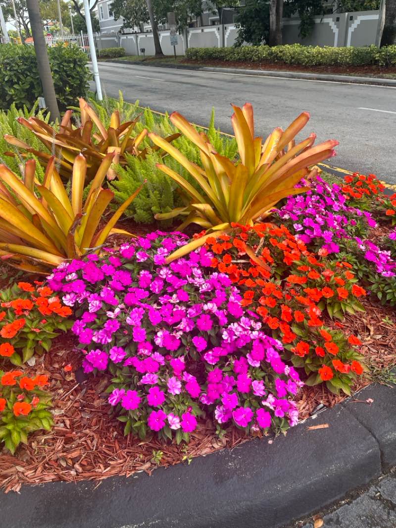 walking near me in Bernard Park in winter